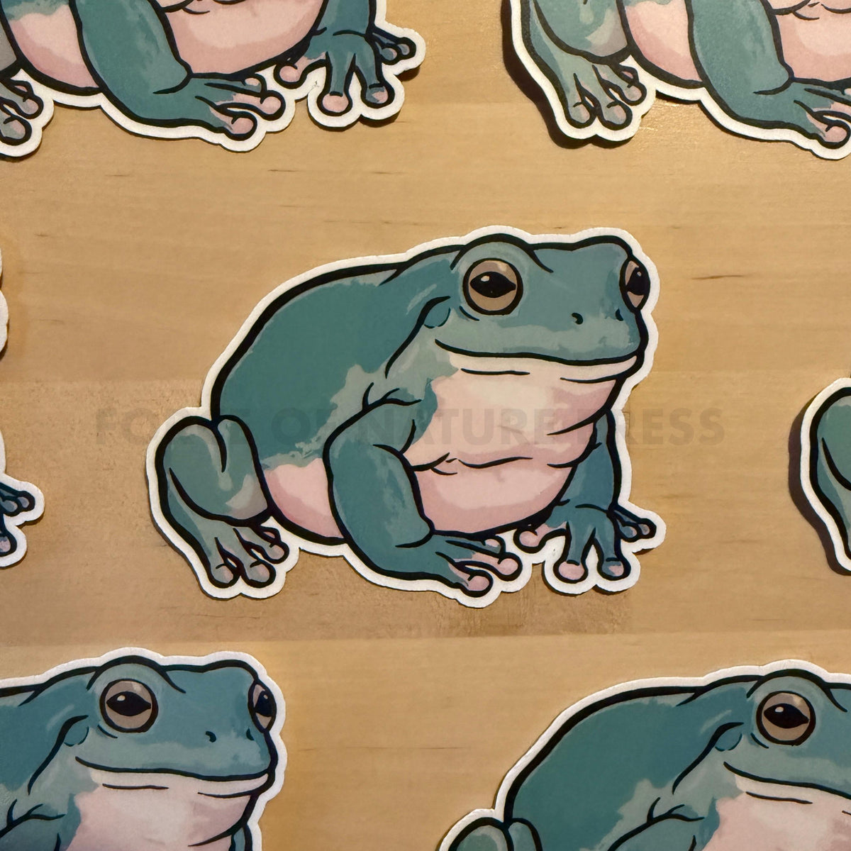 White's Tree Frog sticker – view 2
