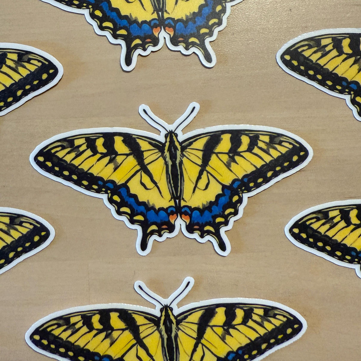 Western Tiger Swallowtail sticker, papilio rutulus – view 2