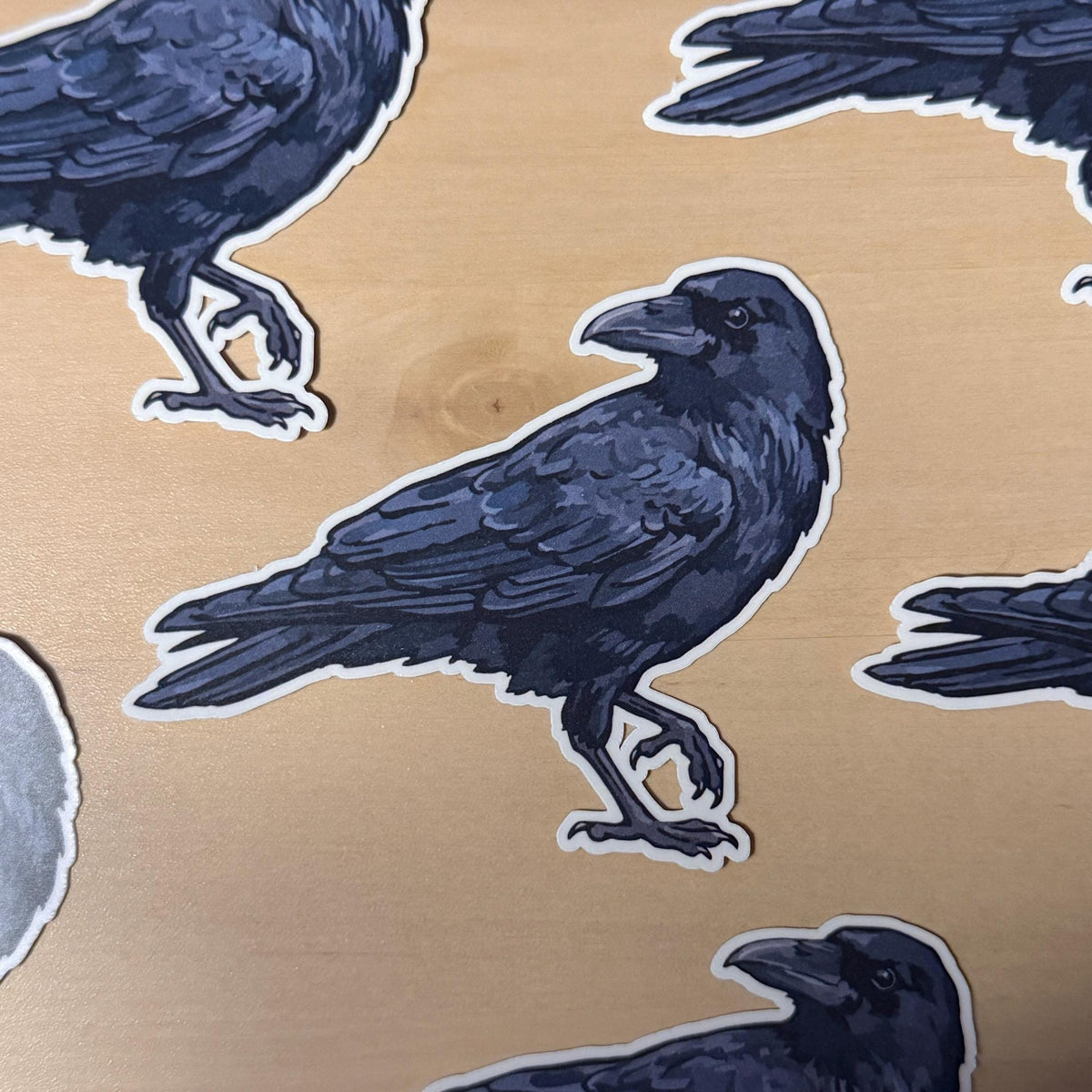 American Crow sticker, gothic nature illustration – view 2