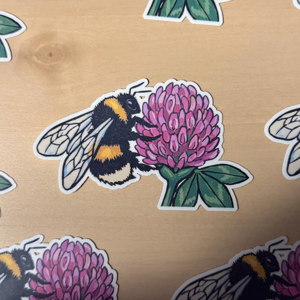 Western Bumble Bee on Clover sticker, pnw nature – view 2