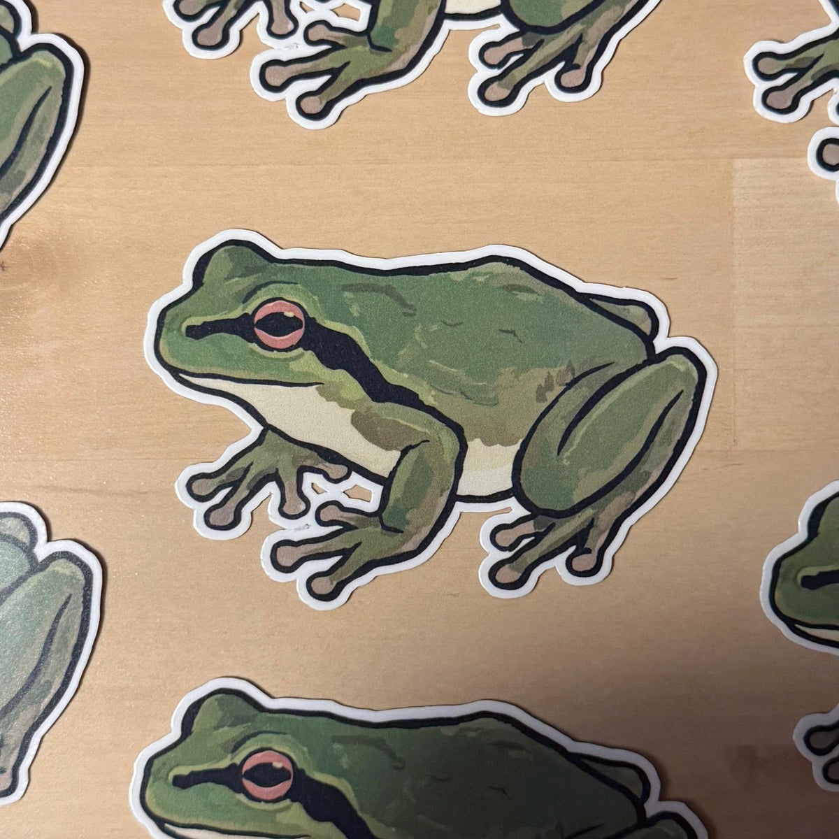 Pacific Tree Frog sticker, pacific chorus frog – view 2