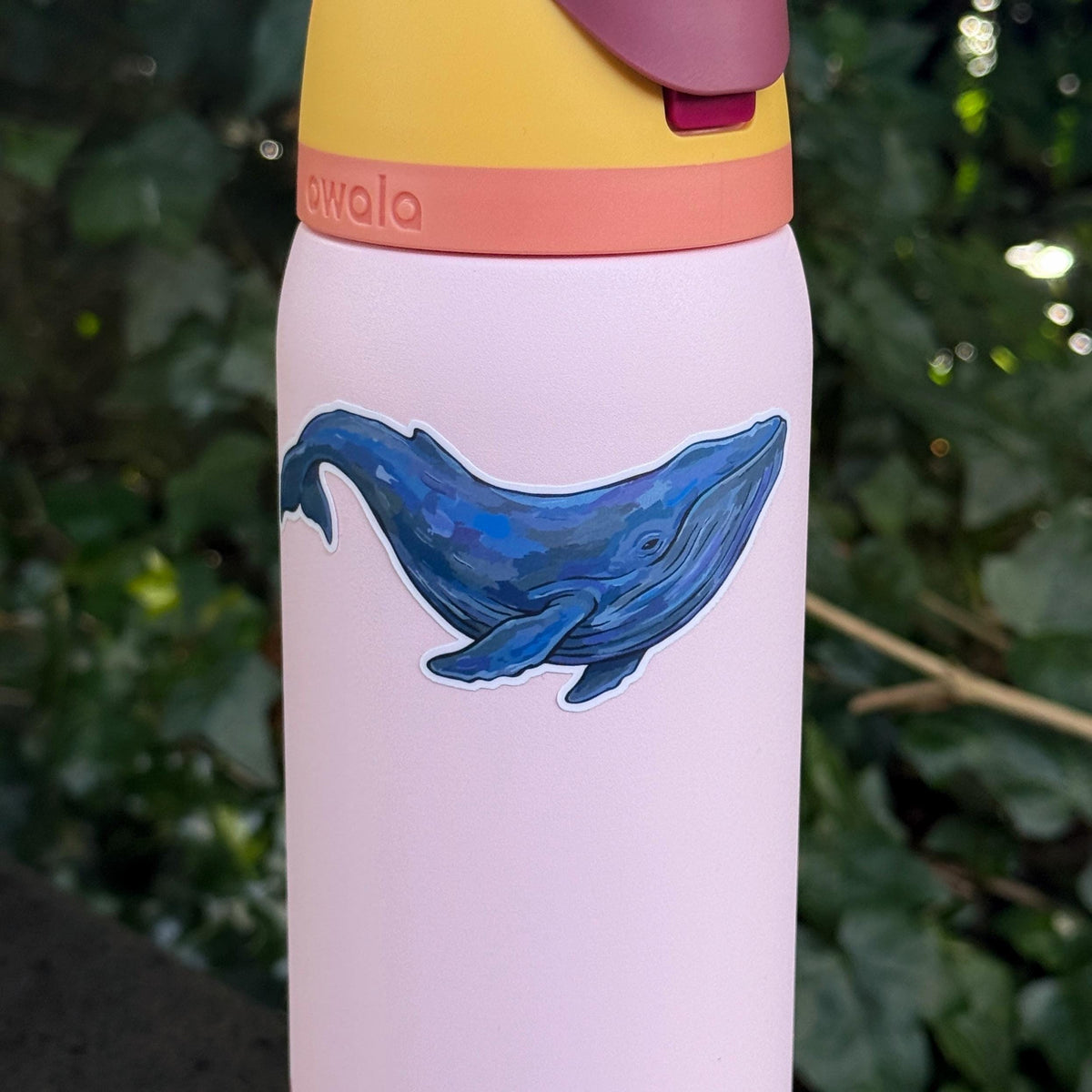 Blue Whale sticker – view 4