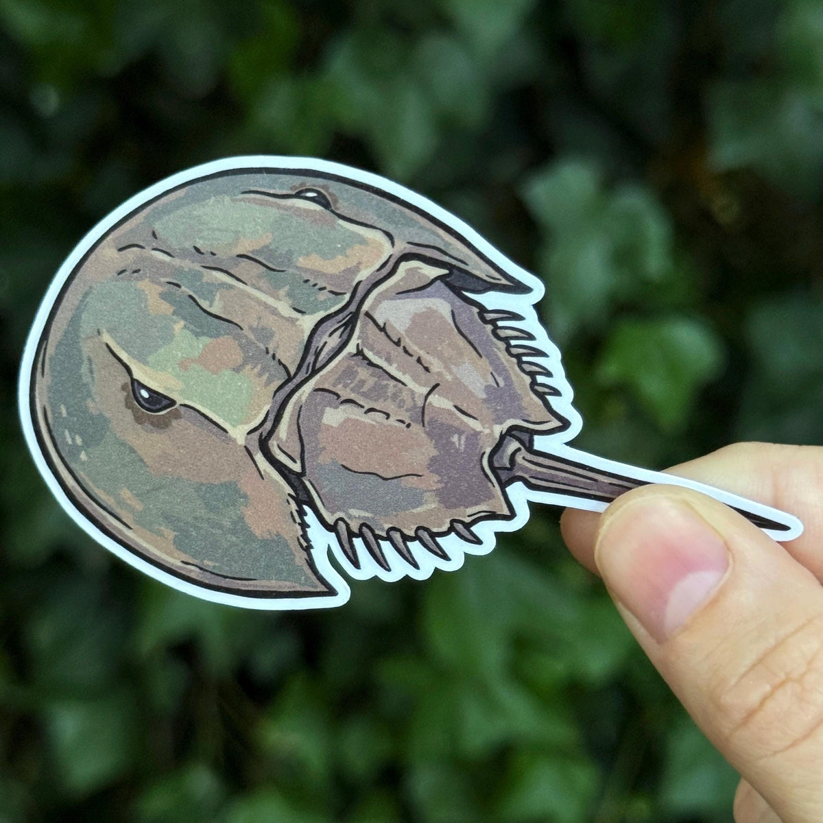 Horseshoe Crab sticker, northeast icon