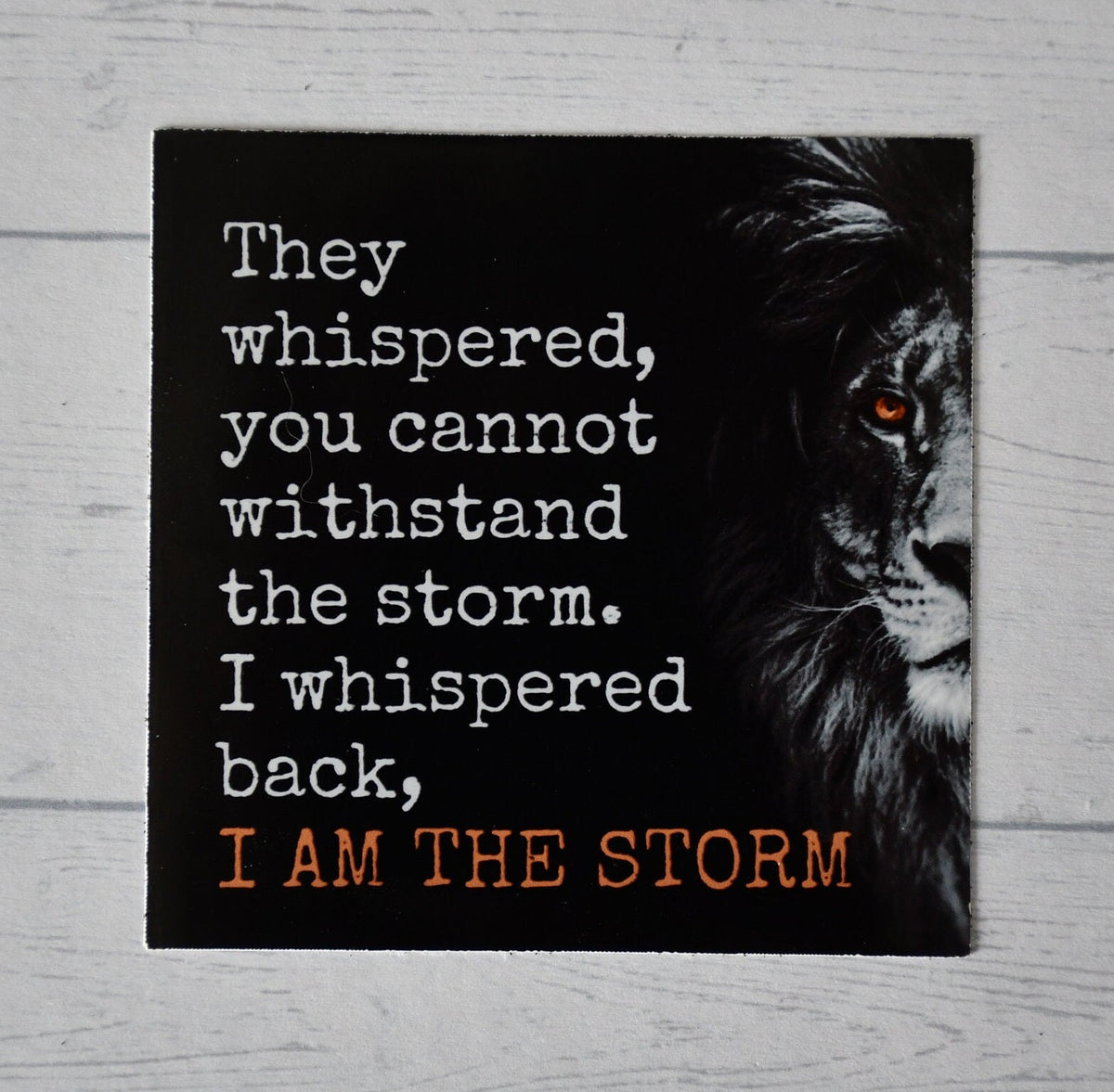 I Am the Storm sticker, girl power