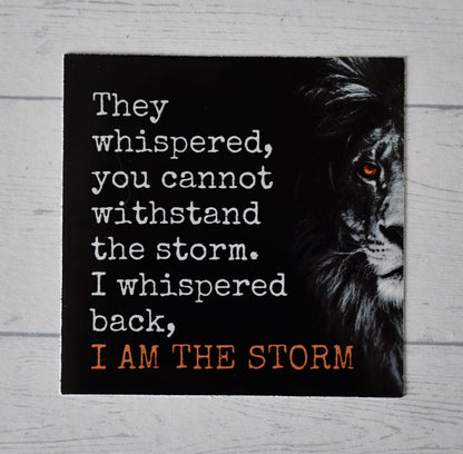 I Am the Storm sticker, girl power