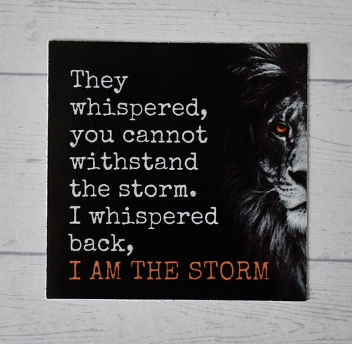 I Am the Storm sticker, girl power