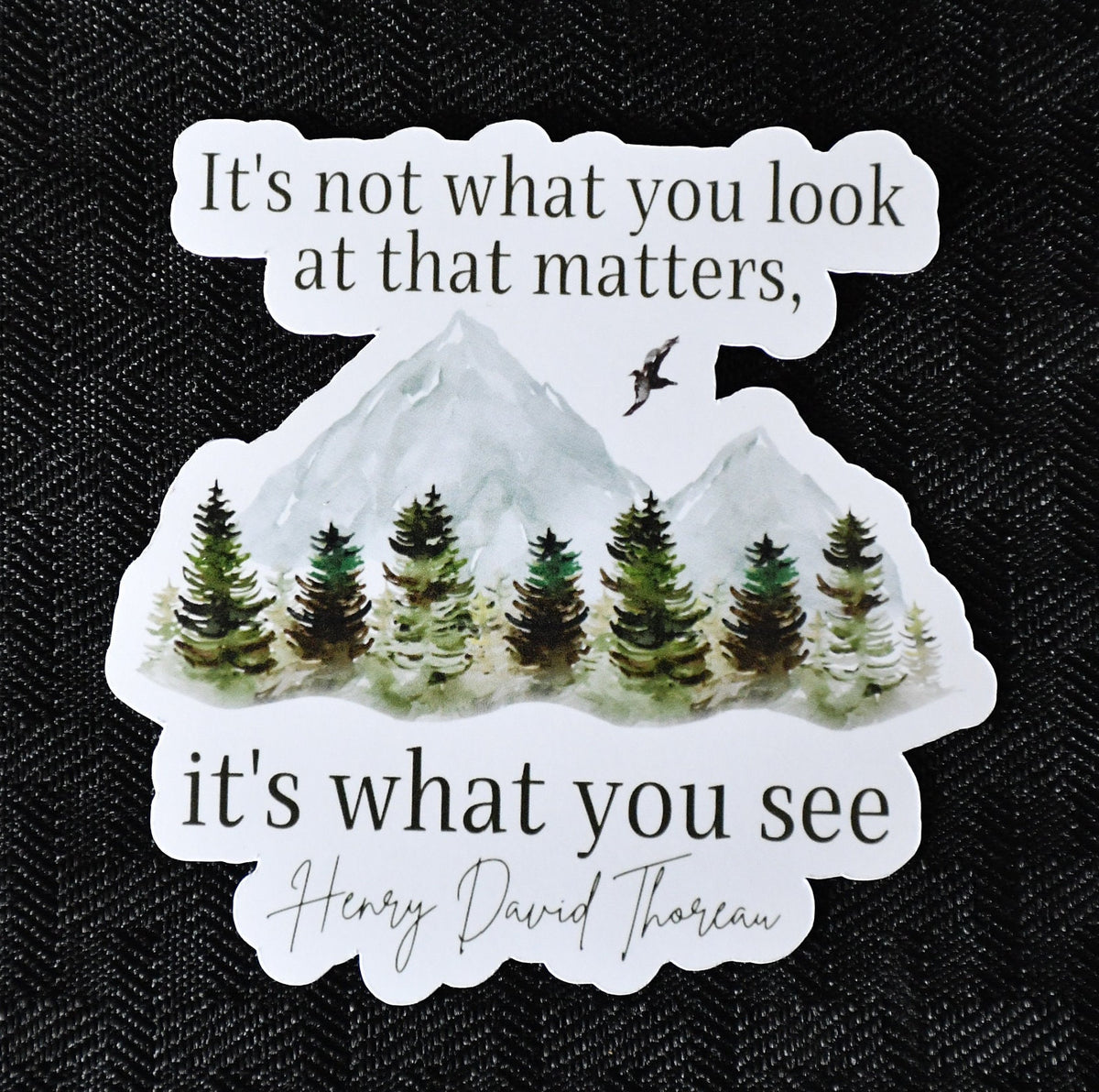 It's Not What You Look at It's What You See sticker, inspirational henry david thoreau quote