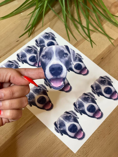 Custom Face sticker sheet