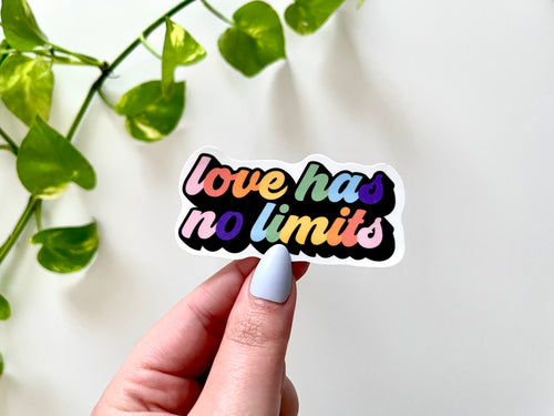 Love Has No Limits sticker