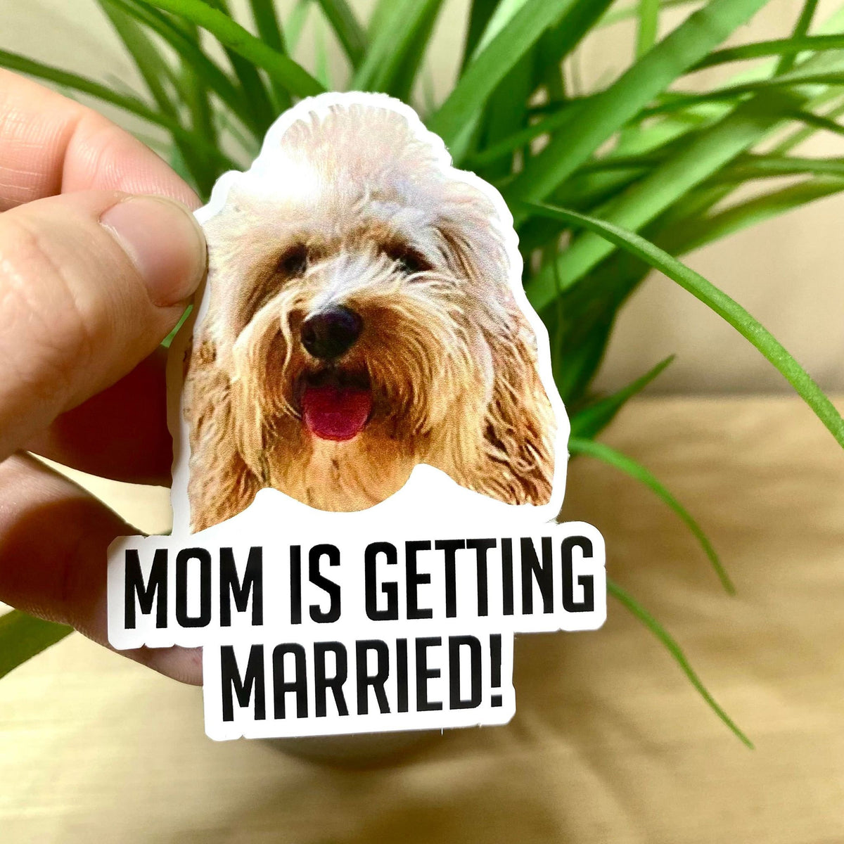 Custom Photo sticker, mr and mrs – view 4