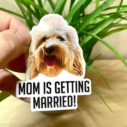 Custom Photo sticker, mr and mrs – view 4