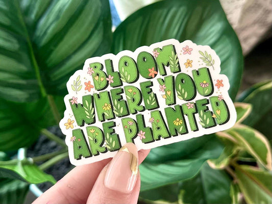 Bloom Where You Are Planted sticker