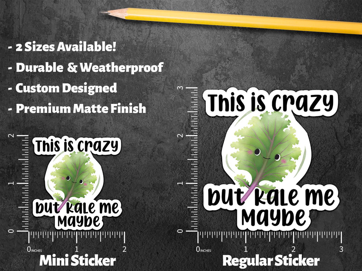 This Is Crazy sticker – view 2