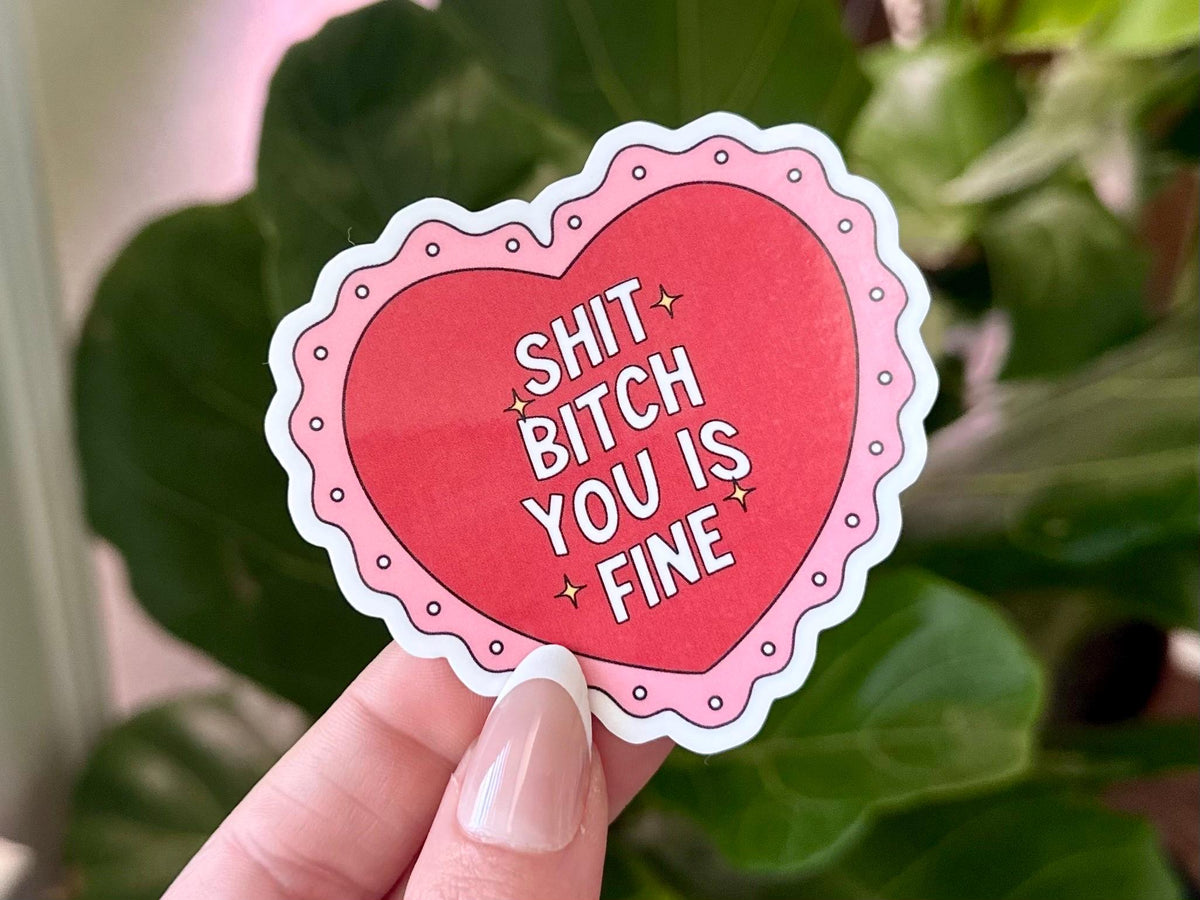 Sh*t B*tch You Is Fine sticker