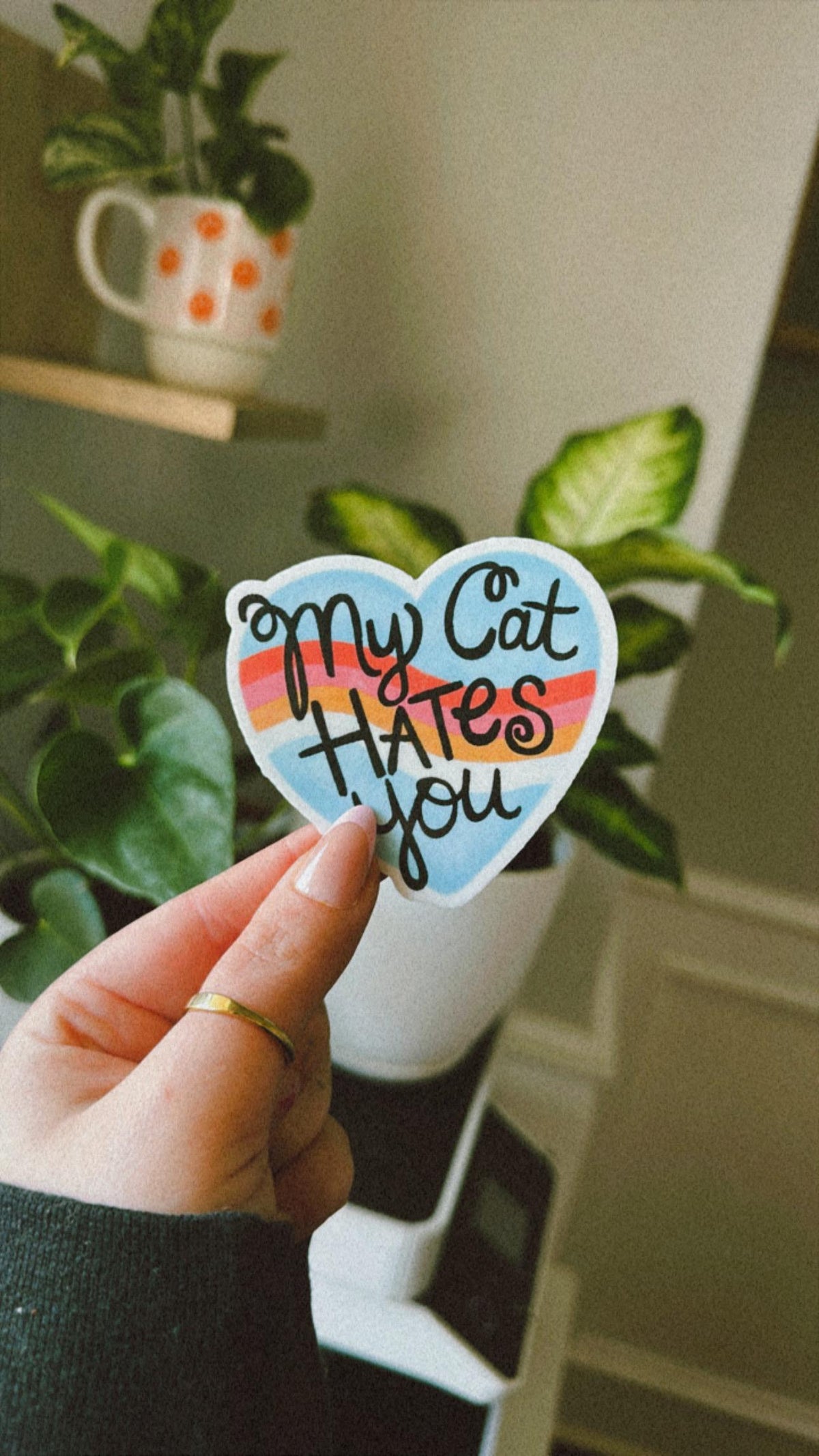 My Cat Hates You sticker – view 2