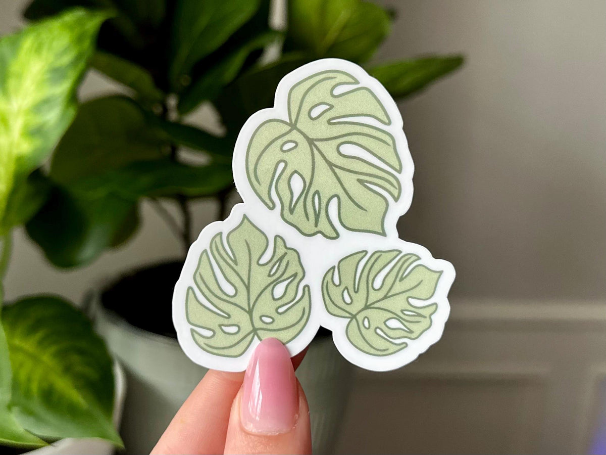 Monstera Leaf sticker