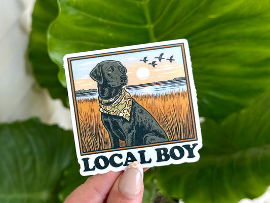 Local Boy Labrador sticker