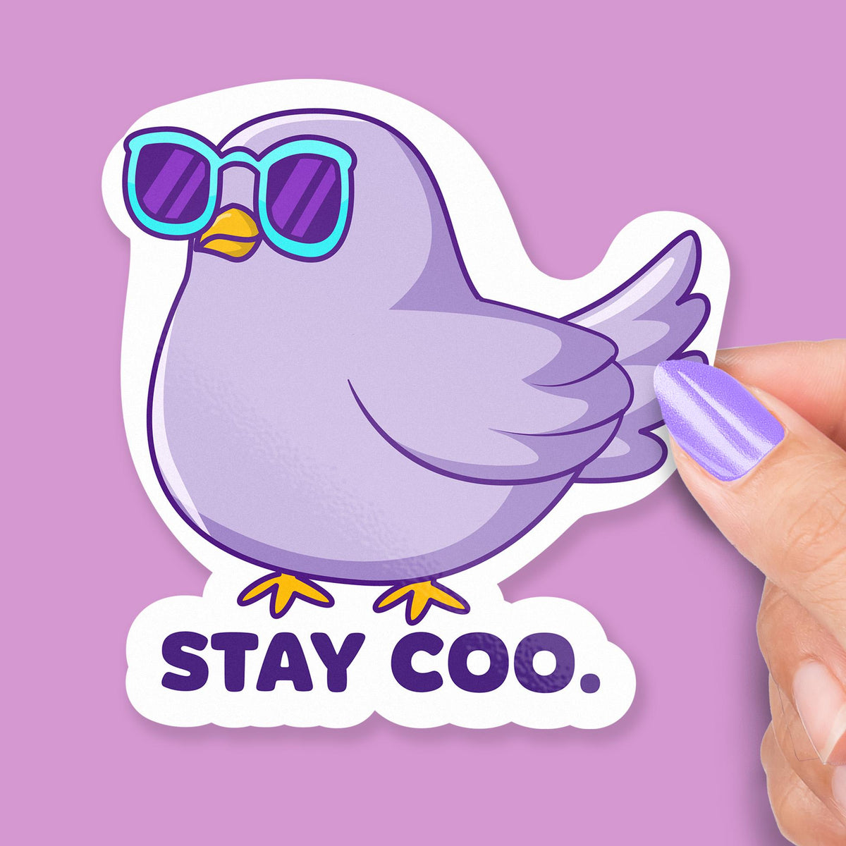 Stay Coo sticker, funny pigeon in glasses pun