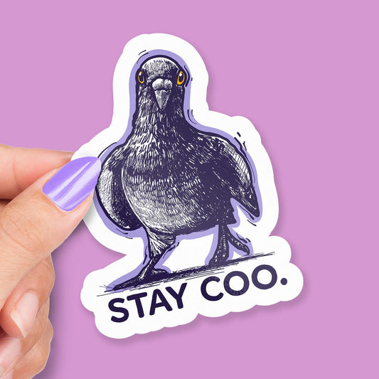 Stay Coo sticker, hand drawn pigeon pun