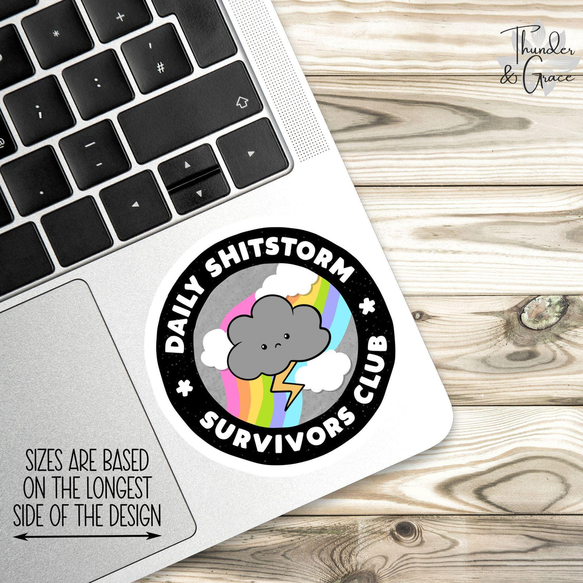 Daily Sh*tstorm Survivors Club sticker, car for women – view 2