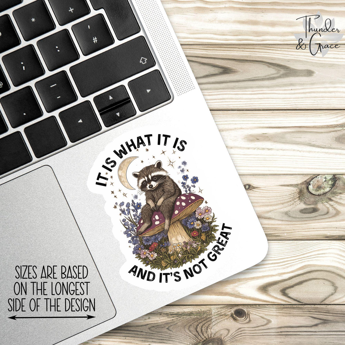 It Is What It Is and It's Not Great sticker, vintage raccoon – view 2
