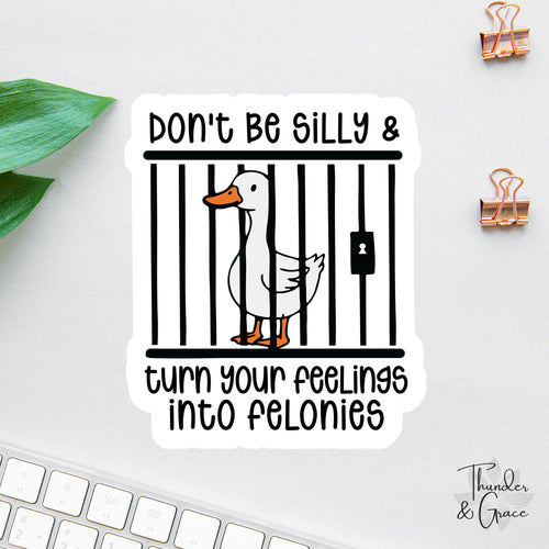 Don't Be Silly and Turn Your Feelings Into Felonies sticker