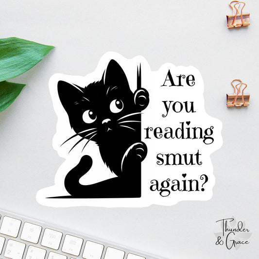 Are You Reading Smut Again? sticker