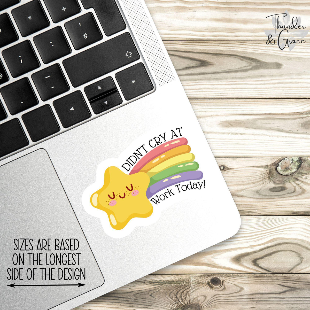 Didn't Cry at Work Today sticker, sh*tshow survivor – view 2