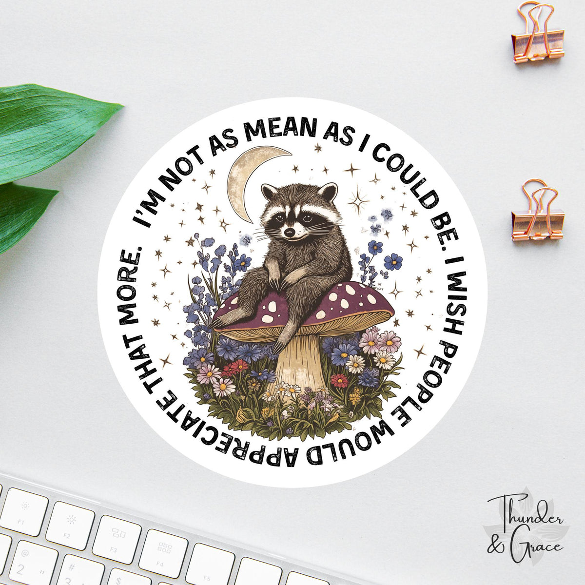 I'm Not as Mean as I Could Be sticker, vintage raccoon