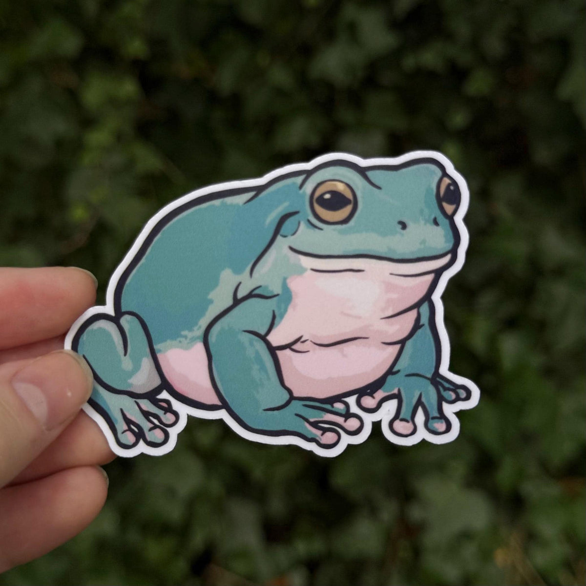 White's Tree Frog sticker