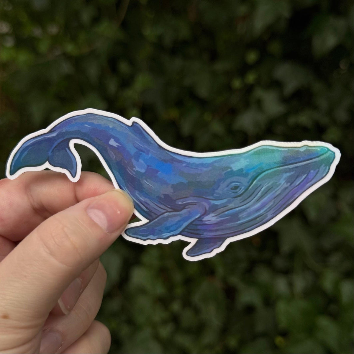 Blue Whale sticker – view 3