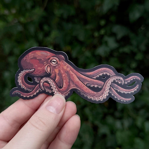 Giant Pacific Octopus sticker, scientific illustration