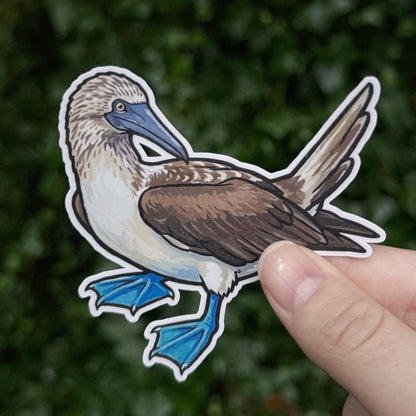 Blue-footed Booby sticker
