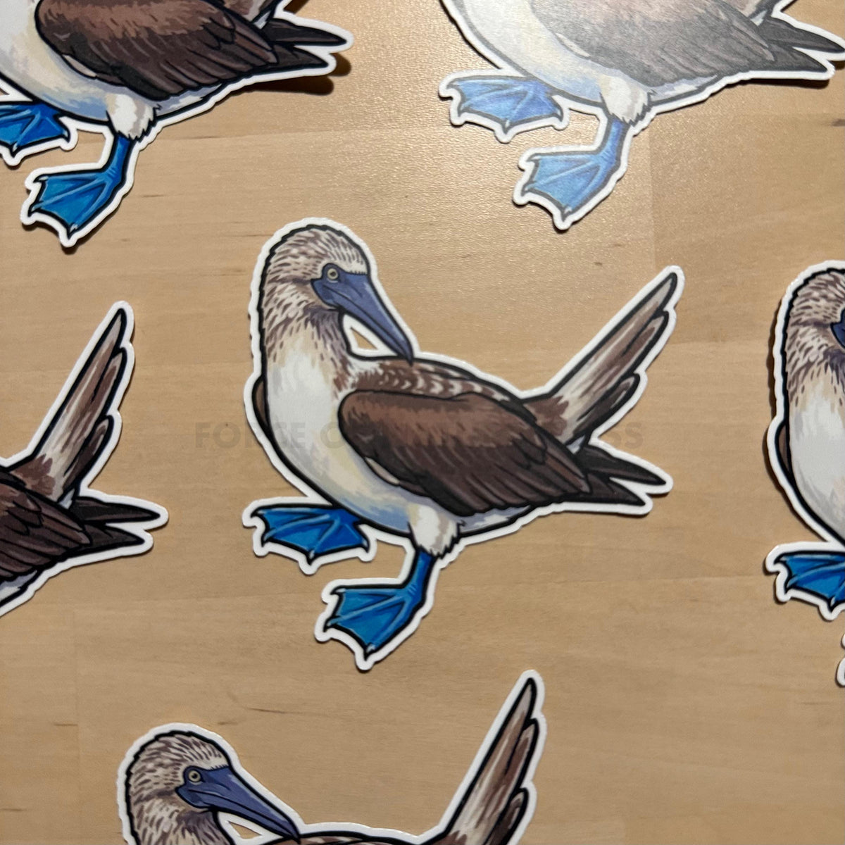 Blue-footed Booby sticker – view 2