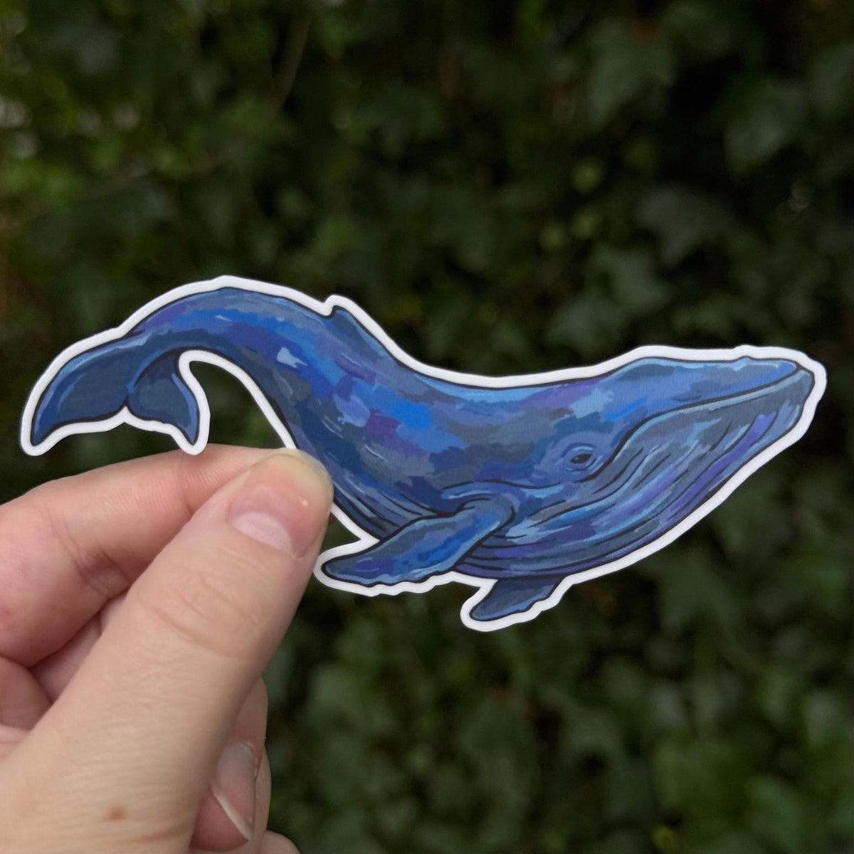 Blue Whale sticker – view 2