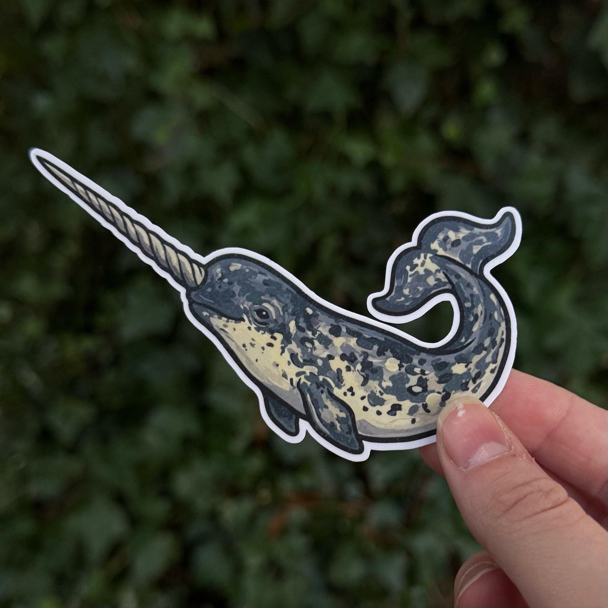 Narwhal sticker, sea unicorn