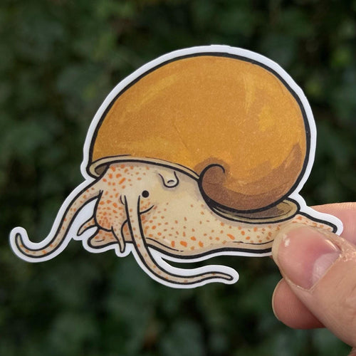 Golden Mystery Snail sticker, inca gold snail