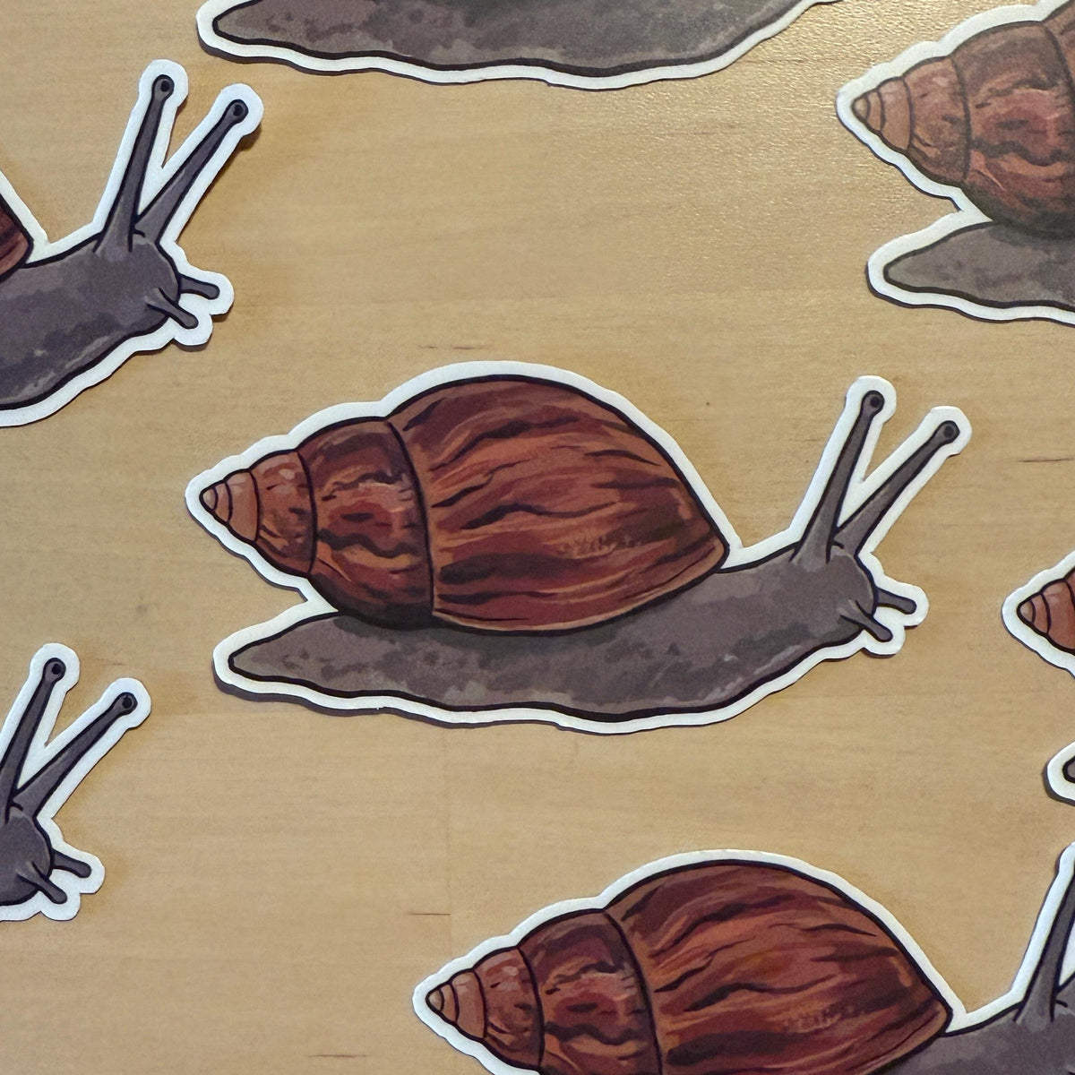 Giant African Land Snail sticker – view 2