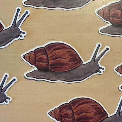 Giant African Land Snail sticker – view 2