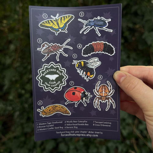 Backyard Bug Club sticker sheet, pnw bugs