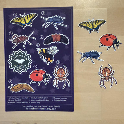 Backyard Bug Club sticker sheet, pnw bugs – view 2