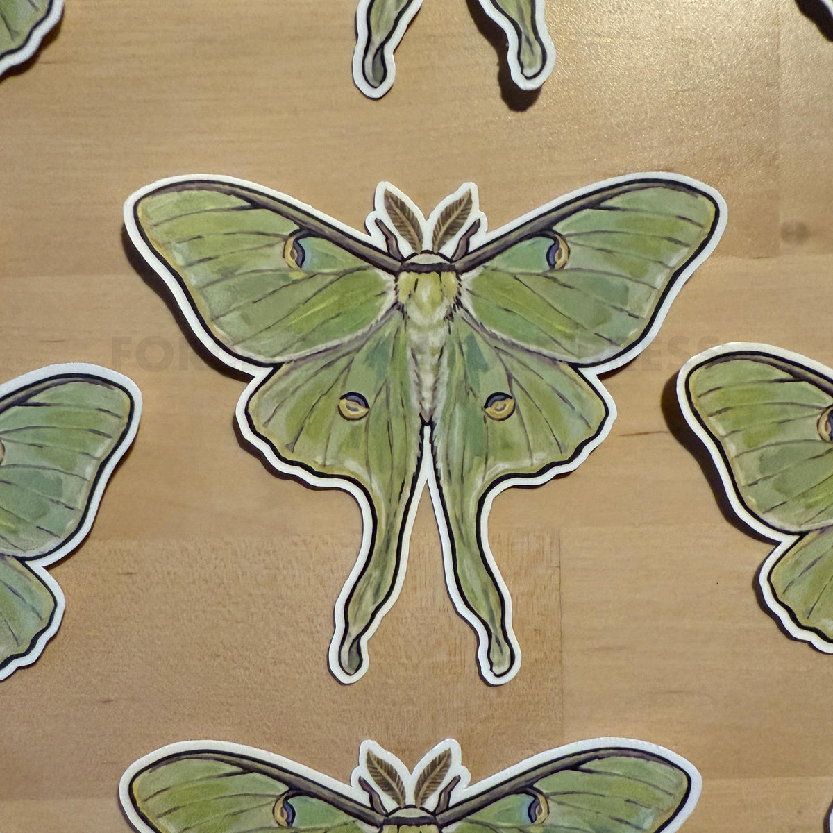 Luna Moth sticker, actias luna – view 2