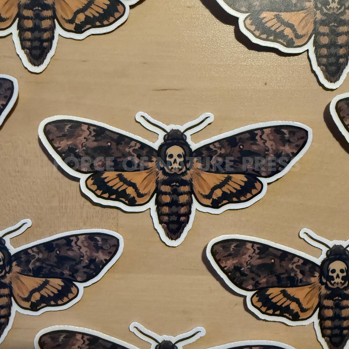 Death's Head Hawkmoth sticker – view 2