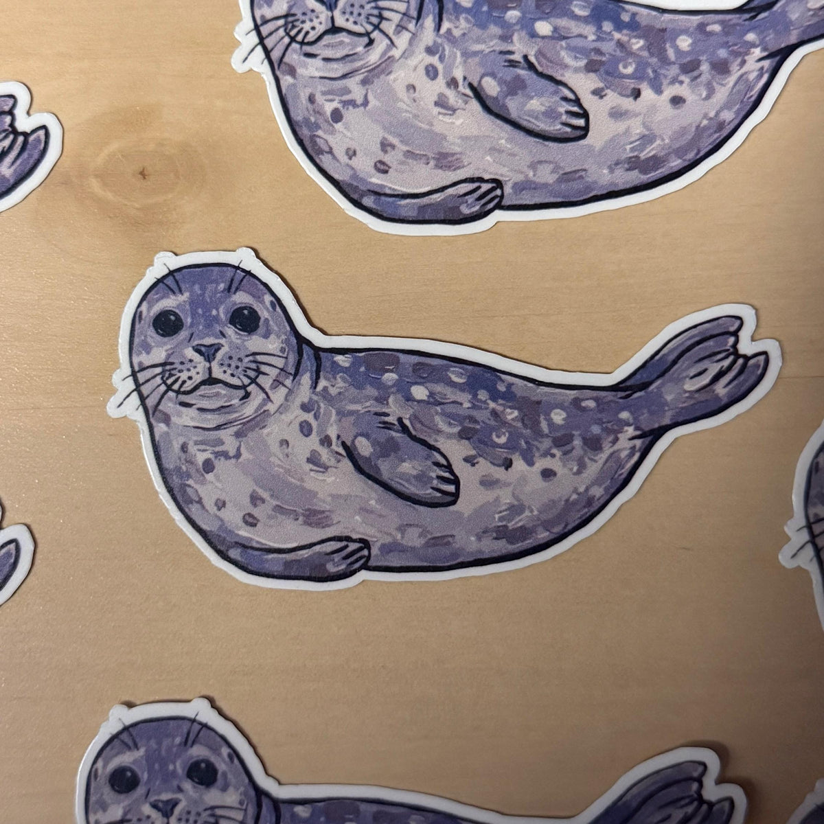 Harbor Seal sticker – view 4
