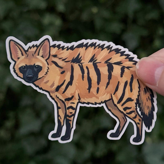 Aardwolf sticker, rare animal
