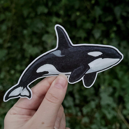 Orca sticker, pnw nature