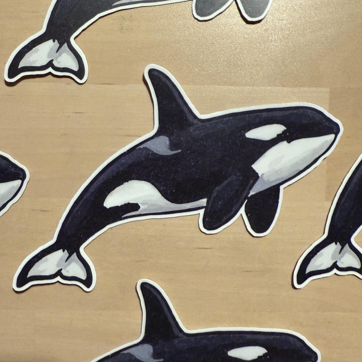 Orca sticker, pnw nature – view 2