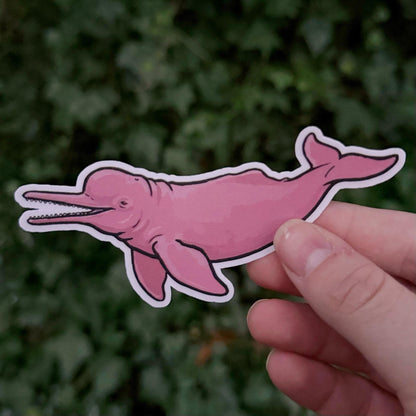 River Dolphin sticker, freshwater cetacean