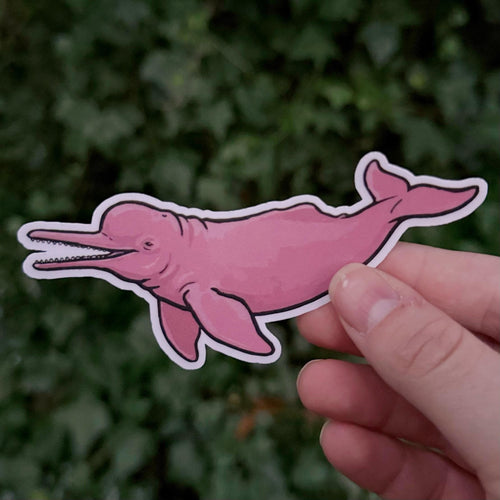 River Dolphin sticker, freshwater cetacean