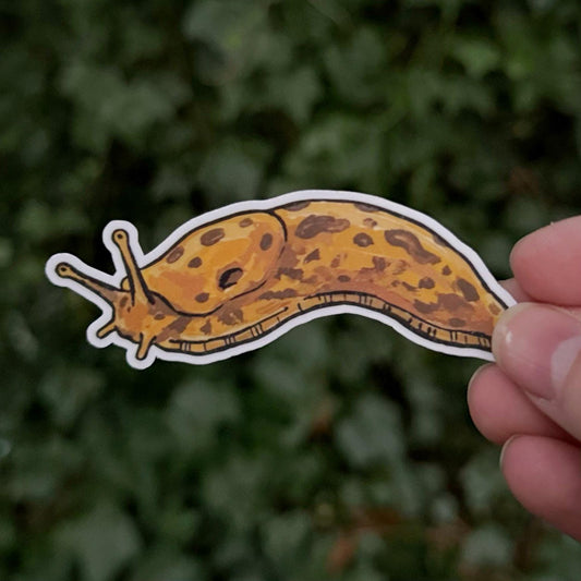 Banana Slug sticker
